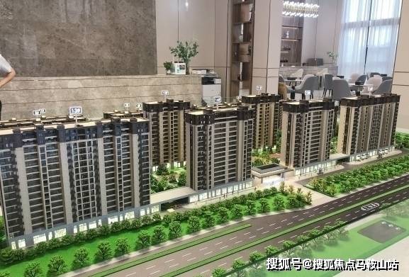 湛江官场地震最新消息全面解析