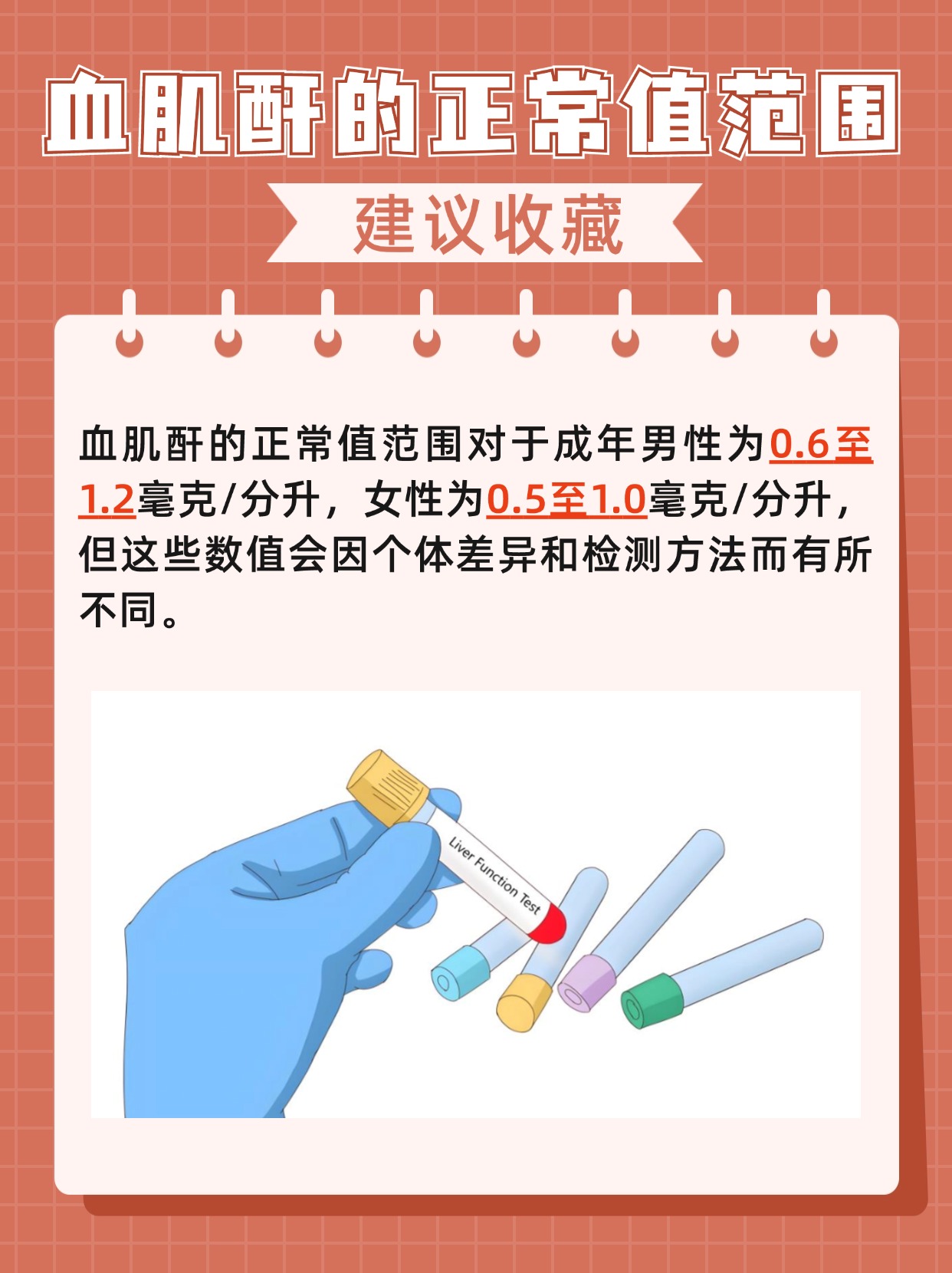 血肌酐正常值最新标准2022，了解、关注与健康保障