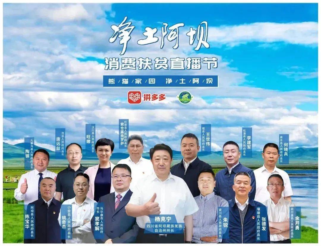 探索新澳门，特马直播的解析与落实