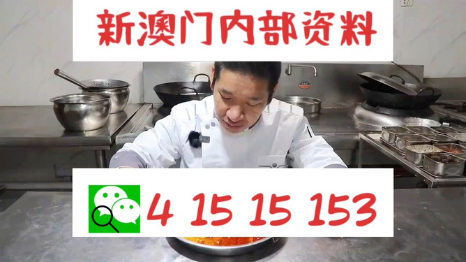 澳门管家婆肖一码，解析精选解释与落实策略