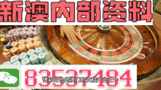 澳门正版免费精准资料，解析与落实精选解释