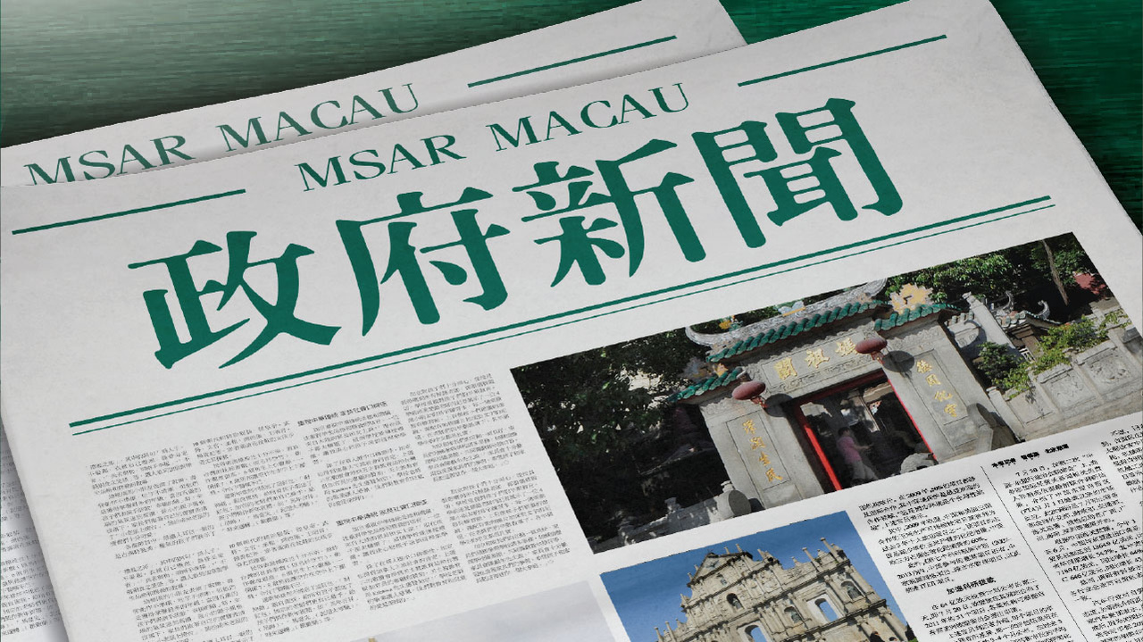 新澳门资料大全查询解析与落实精选指南（2024版）