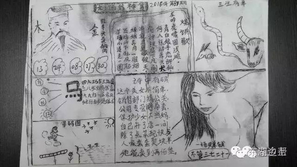 关于管家婆白小姐四肖四码精选解析的文章