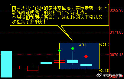 一码中持一一肖一码，解析与落实精选解释