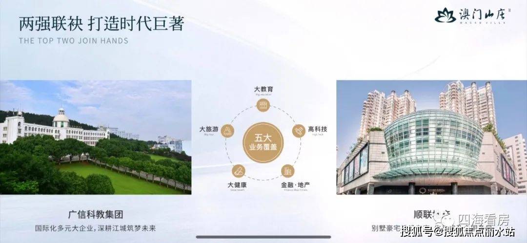 新澳门期期准的精解释解析与落实策略