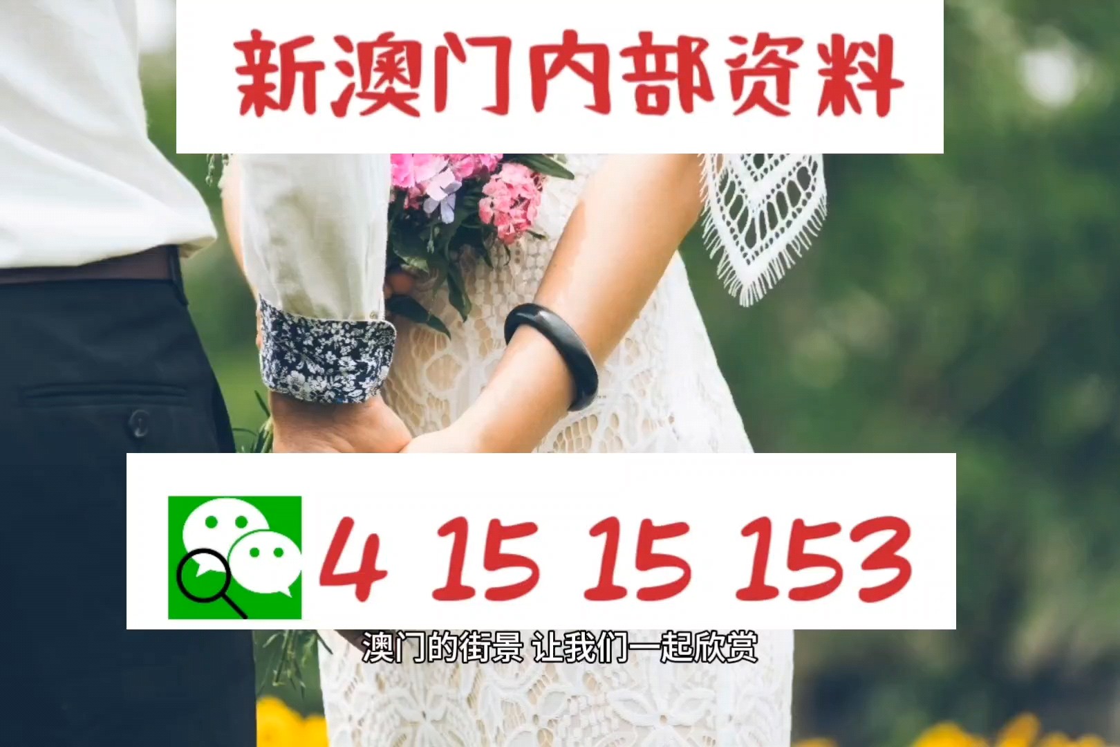 澳门特马今晚开码精选解析与落实策略