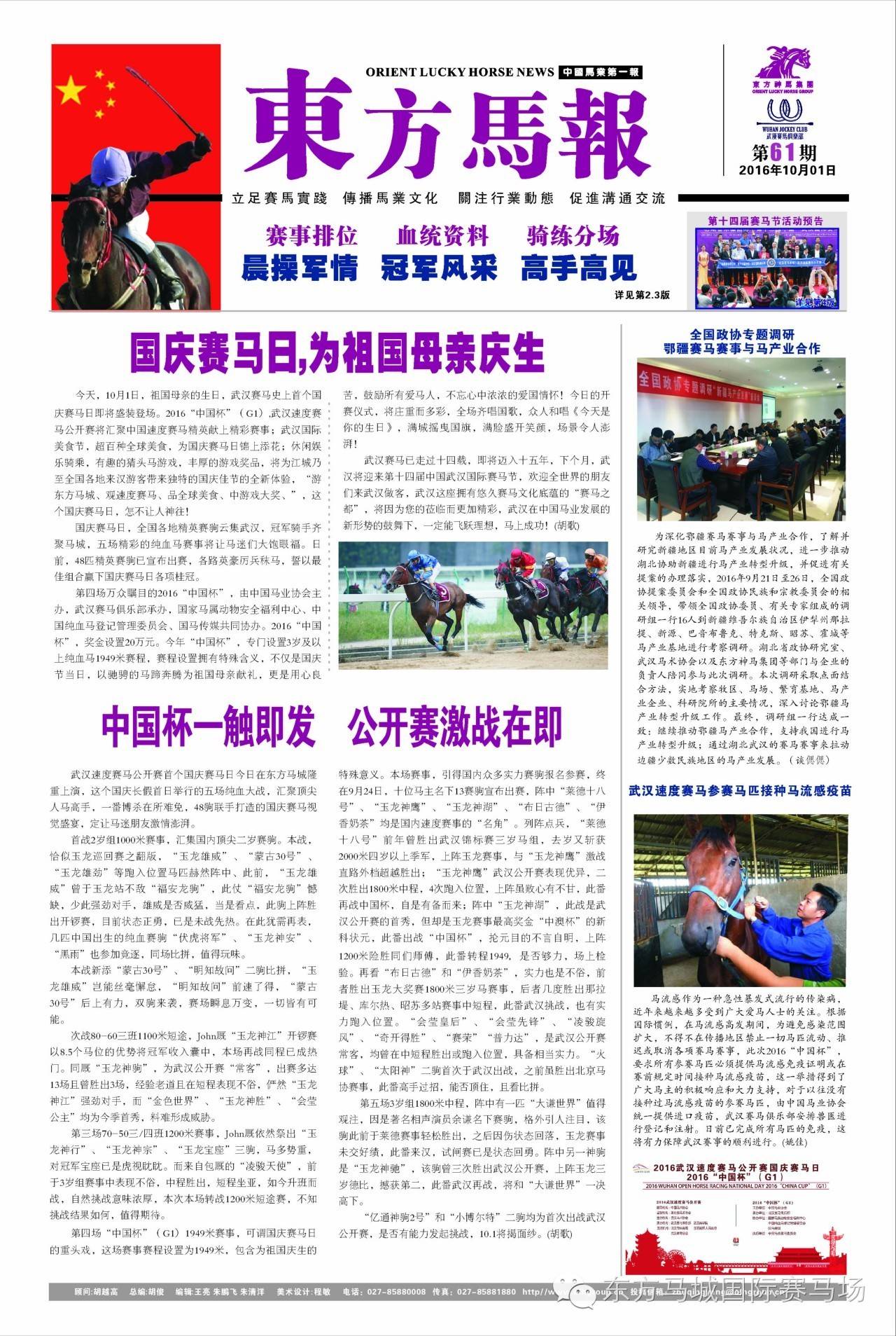 澳门正版马报资料解析与落实策略探讨