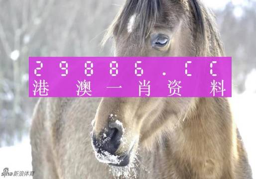 澳门一肖一码100%，解析与落实精选解释