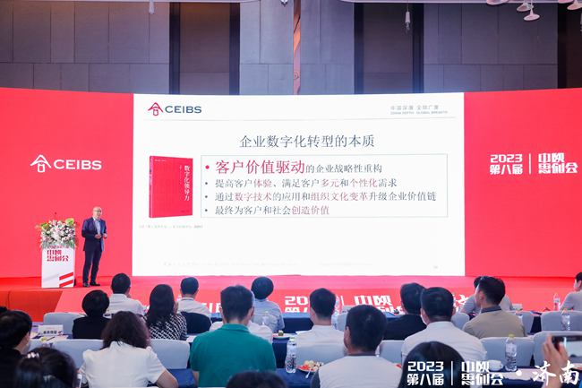 新澳龙门龙门资料大全，精选解释与解析，落实行动指南