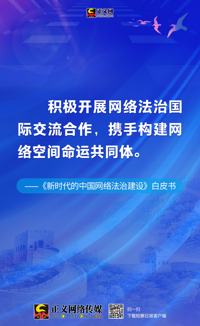 新澳精准免费大全，解析与落实精选策略