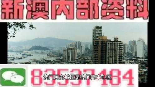 新澳门资料精选解析与落实策略探讨