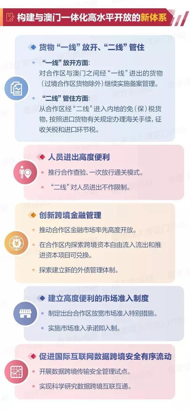 新澳2024最新资料解析与落实策略，走向成功的关键要素