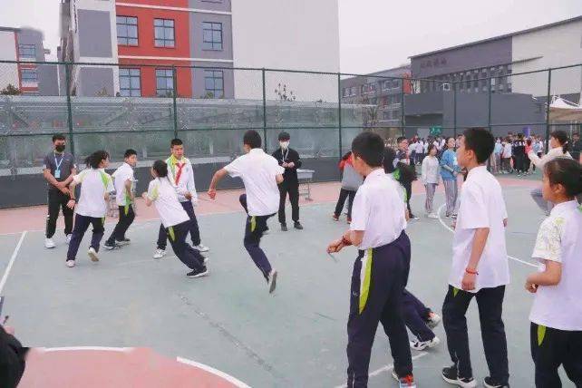 澳门特马今日开奖结果解析与落实精选策略探讨