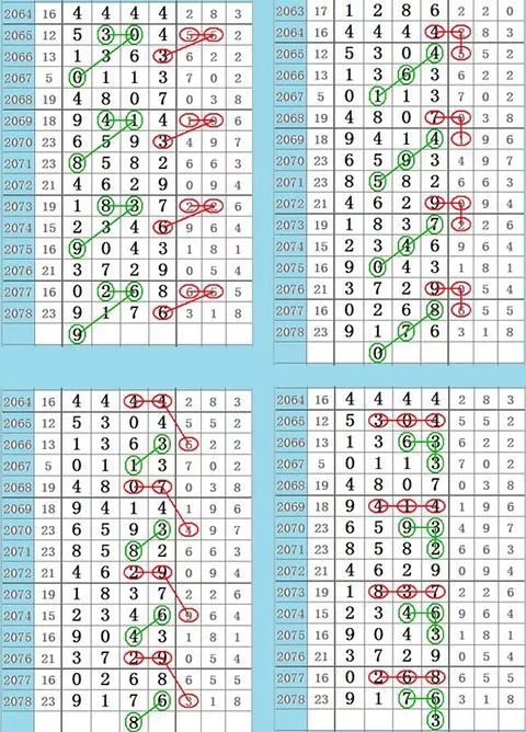 四肖八肖期期准资料精选与解析落实详解