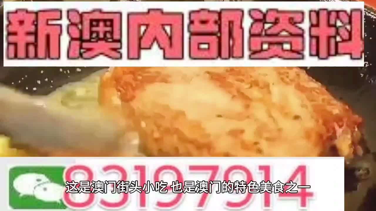 新澳门资料大全，精选解释解析与落实策略