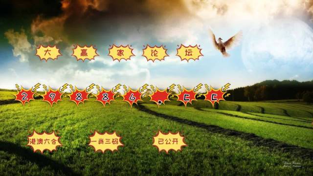 澳门4949开奖结果最快，精选解释解析与落实策略