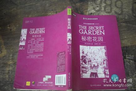 白小姐正版四不像中特小说的奥秘，精选解析与落实