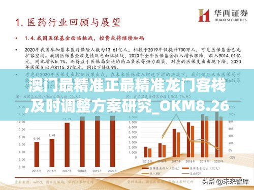 澳门最精准正最精准龙门图片，解析与落实精选