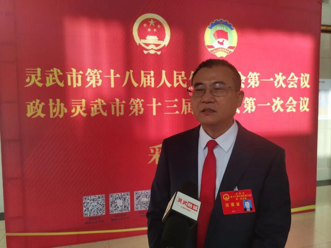 解析落实新澳免费资料精选指南