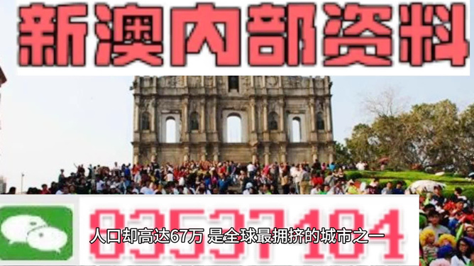 新澳门免费资料大全最新版本介绍与精选解析落实详解