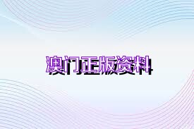 澳门资料精选解析与落实策略探讨