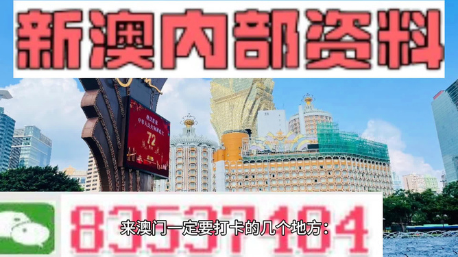 澳门金牛版正版解析与落实策略精选解析