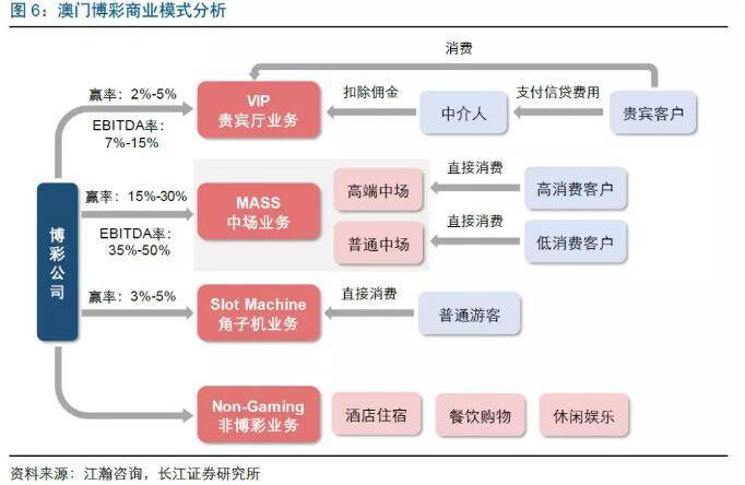 澳门管家婆三肖解析与落实策略，迈向成功的关键要素（精选解析）