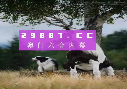 澳门正版跑狗图最新版，精选解释解析与落实策略