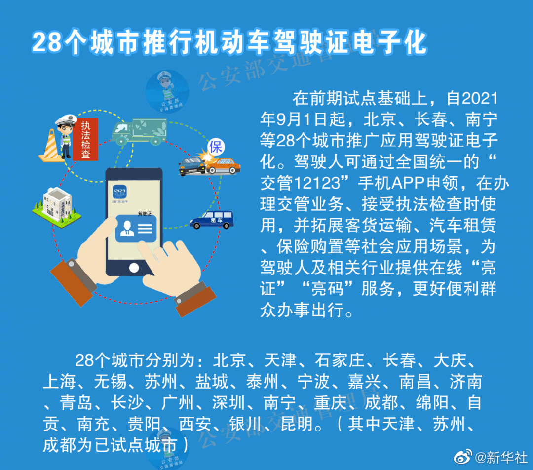 新奥资料免费精准天天大全，解析、落实与精选策略