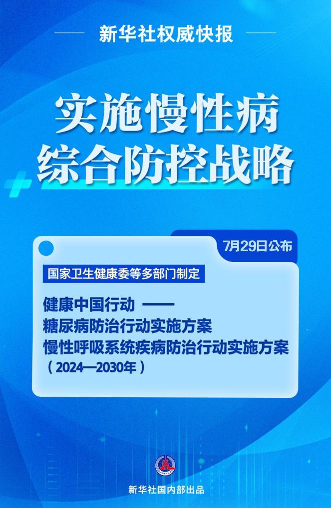 澳门最精准资料解析与落实策略，老版免费精选解析的启示
