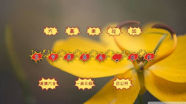 澳门4949最快开奖结果与精选解释解析落实，探索与解读