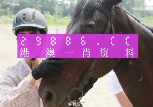 澳门一肖一码一特中今晚，解析与精选策略的实施