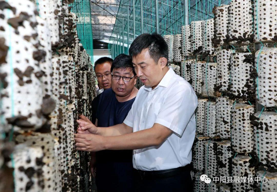中阳金融资讯最新消息精选解析与落实行动