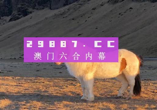 澳门今晚开奖预测与解析，深入探索数字49背后的秘密