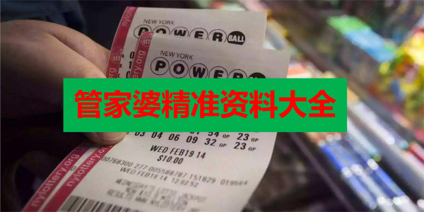 新澳门精准资料大全与管家婆料，解析与落实精选解释