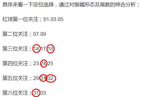 新澳2024今晚开奖结果，解析与落实精选解释