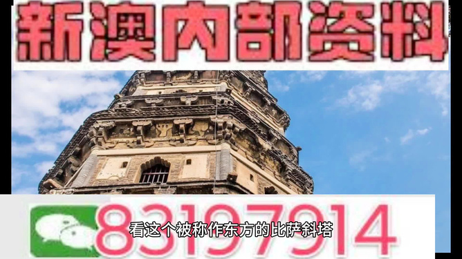 新澳2024年精准正版资料，解析与落实精选解释