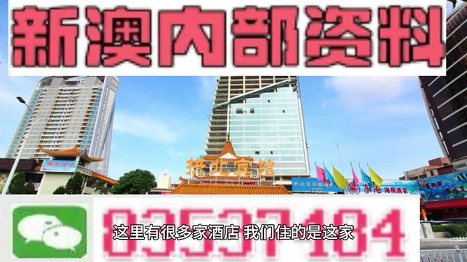 揭秘2024新澳正版免费资料，精选解释解析落实之道