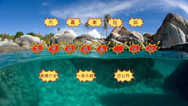 澳门天天开好彩，回顾与解析