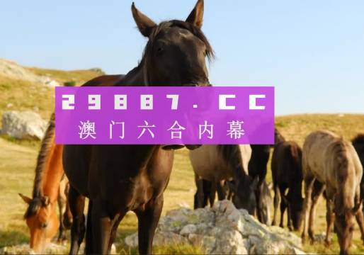 澳门管家婆一肖一码2024年精选解释解析落实