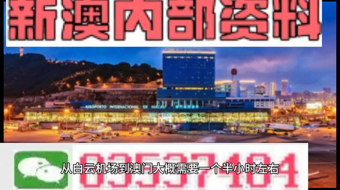 新澳门资料免费精准解析与落实精选解释