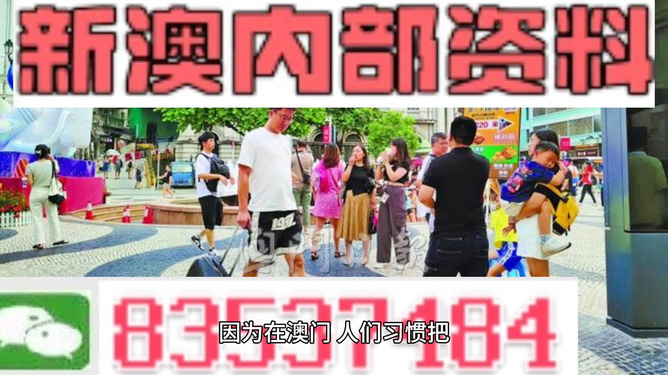 2024新澳门正版资料大全，精选解析与落实策略
