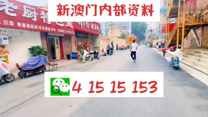 澳门天天开好彩大全解析与落实策略（第65期深度解析）