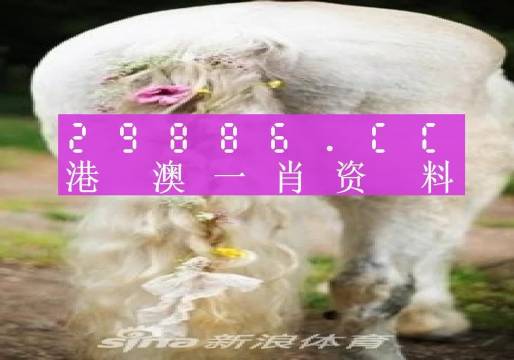澳门一肖一码准选一码解析与落实策略（2023年精选解析）