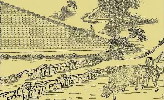 揭秘王中王开奖历史记录网，精选解析与落实探究