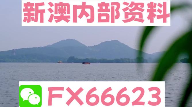 新澳2024最新资料解析与落实精选详解