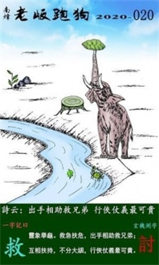 王中王跑狗软件，解析与落实精选介绍