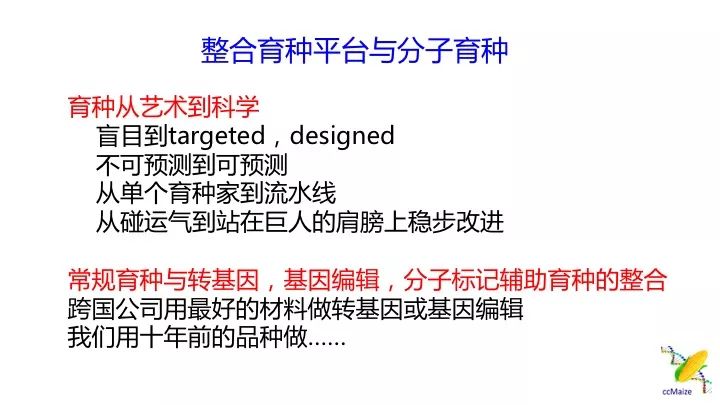 新澳天天开奖资料解析与落实，警惕背后的风险与挑战