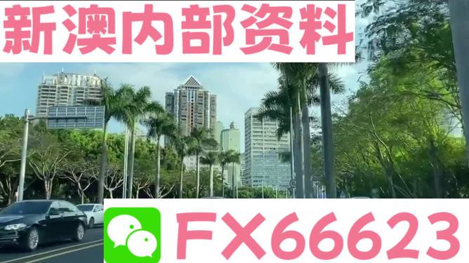 新澳精准资料期期精准，解析与落实的精选之道