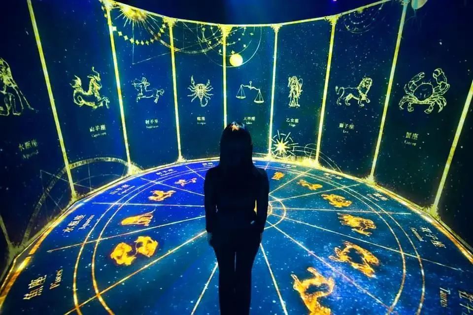 精准一肖一码，揭秘预测艺术与科学的结合